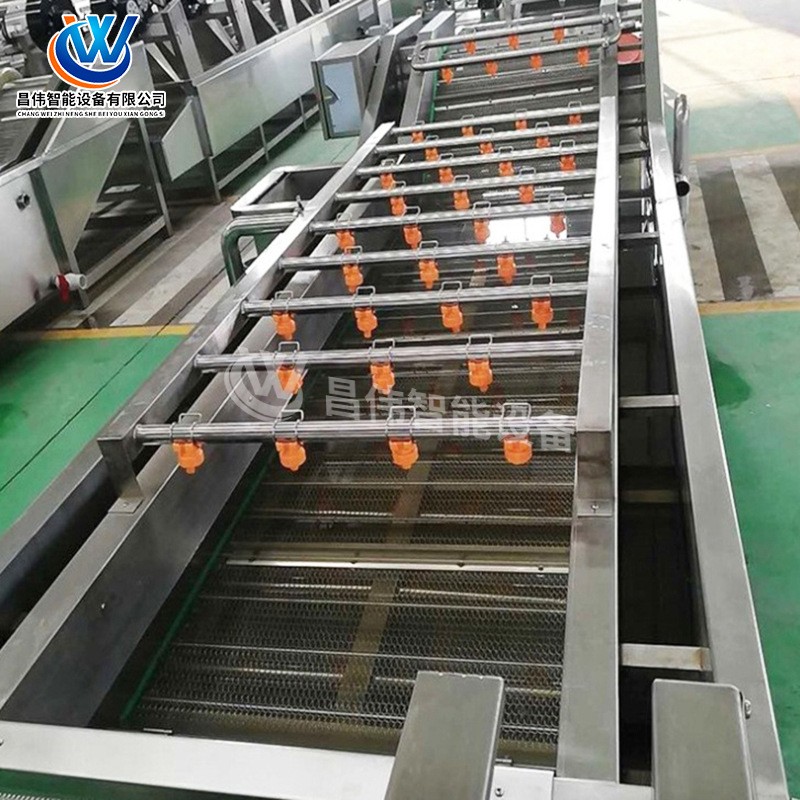 全自动水果清洗机 柠檬气泡清洗风干机 草莓涡流气泡清洗机制造商图2