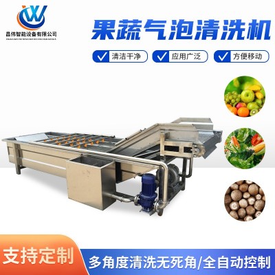 全自动水果清洗机 柠檬气泡清洗风干机 草莓涡流气泡清洗机制造商