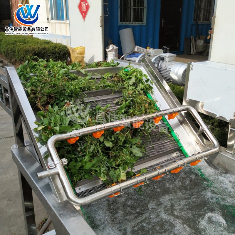 全自动水果清洗机 柠檬气泡清洗风干机 草莓涡流气泡清洗机制造商图4