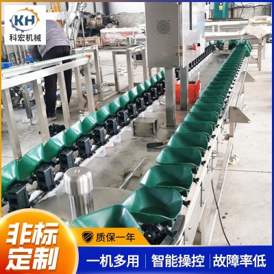 山东厂家科宏 水果分选机料盒款 柑橘番石榴桃子自动称重选果机