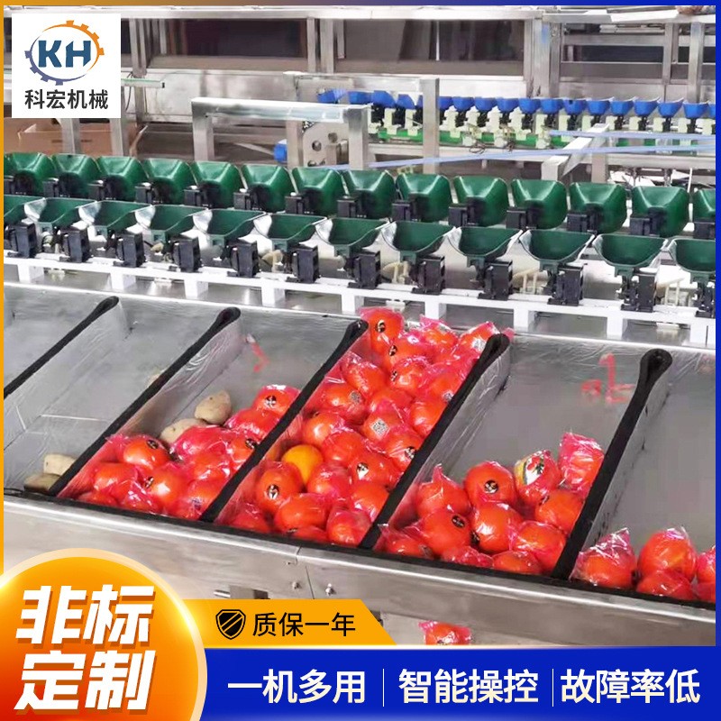 山东厂家科宏 水果分选机料盒款 柑橘番石榴桃子自动称重选果机图3