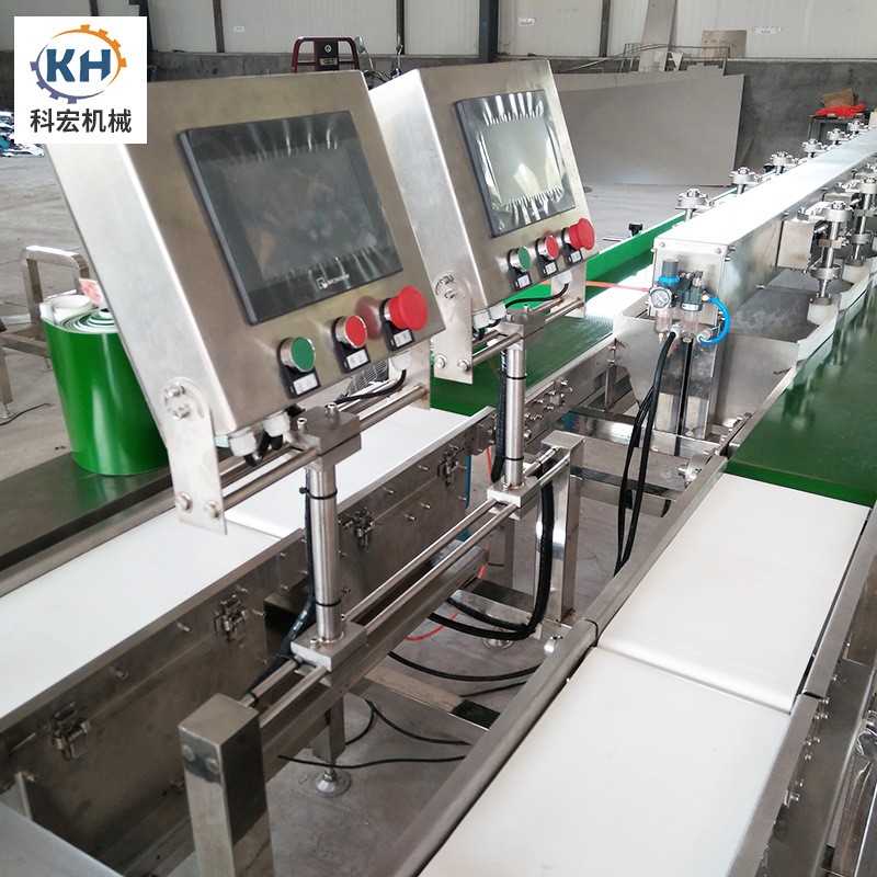 山东厂家现货 水果重量分选机 海鲜水产称重机皮带分选机 双列图3