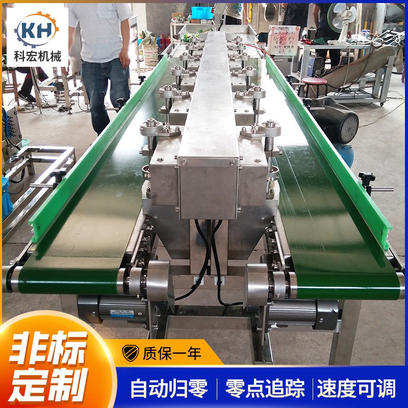 山东厂家现货 水果重量分选机 海鲜水产称重机皮带分选机 双列图2