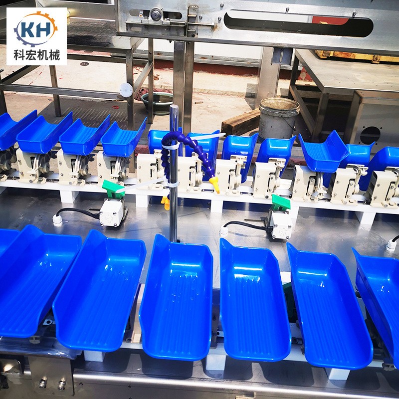 山东厂家供应 检测重量分选秤 食品料盒分选机 输送式多级称重机图4