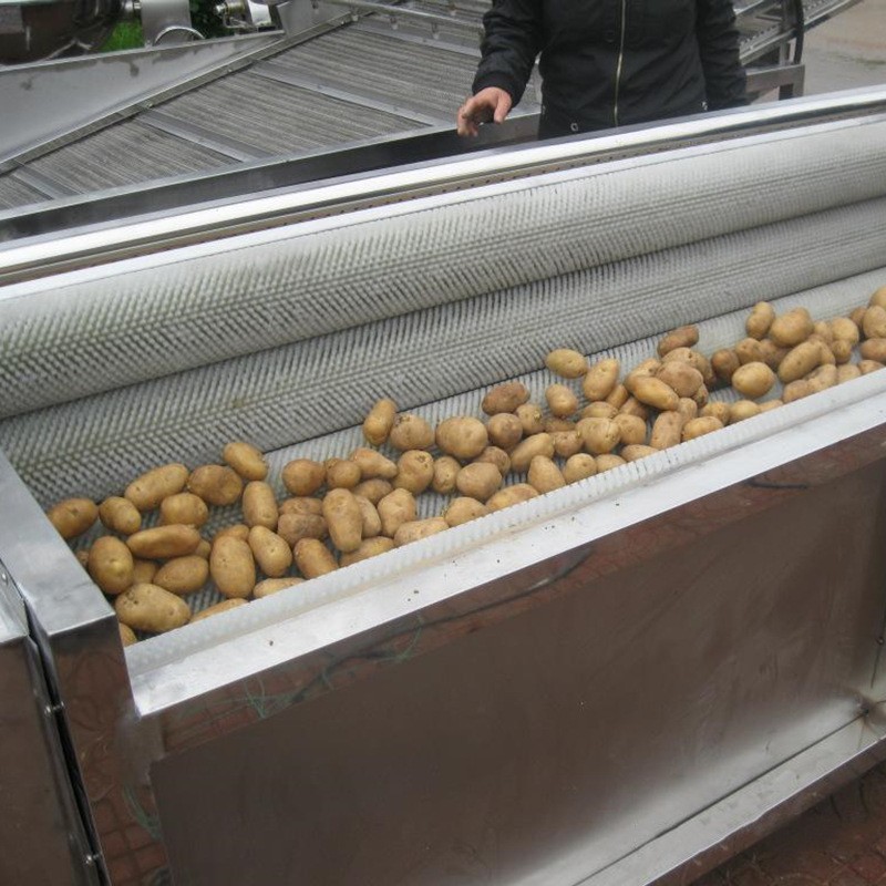 不锈钢毛辊清洗机定制 土豆去皮机胡萝卜清洗机设备 去泥脱皮机器图5