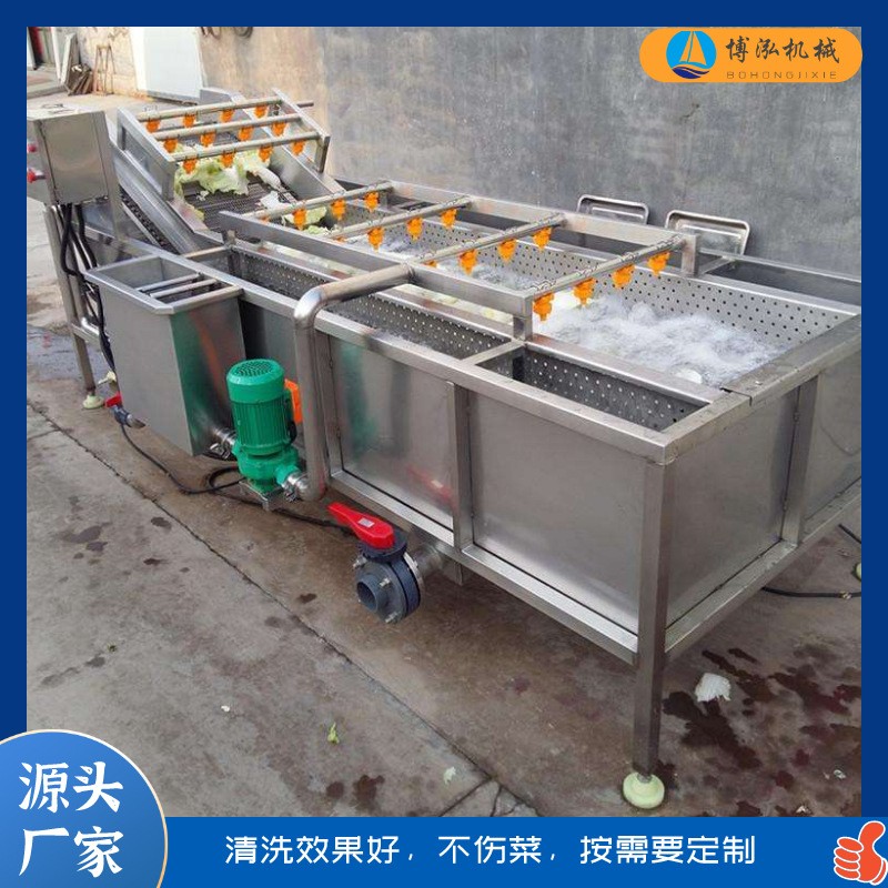多功能不锈钢气泡清洗机 果蔬清洗设备 白菜胡萝卜高压喷淋清洗机图2