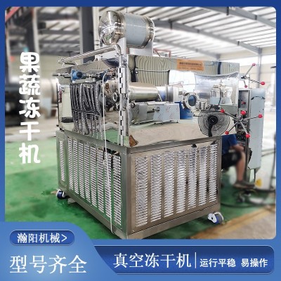冷冻真空干燥机玫瑰花冻干设备果蔬真空干燥机机真空冻干机冷干机