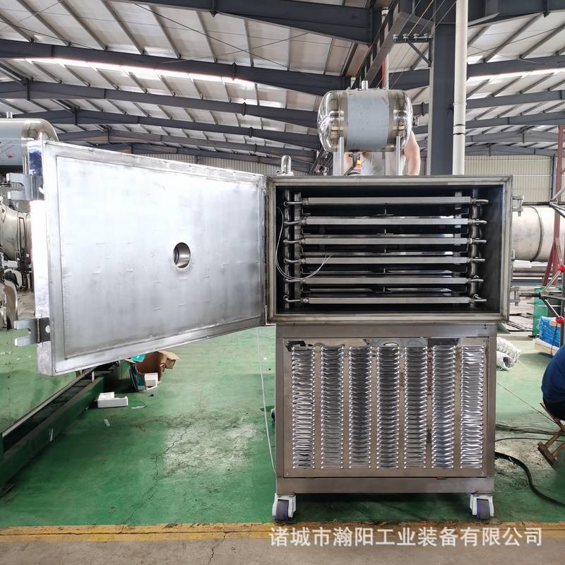 冷冻真空干燥机玫瑰花冻干设备果蔬真空干燥机机真空冻干机冷干机图2