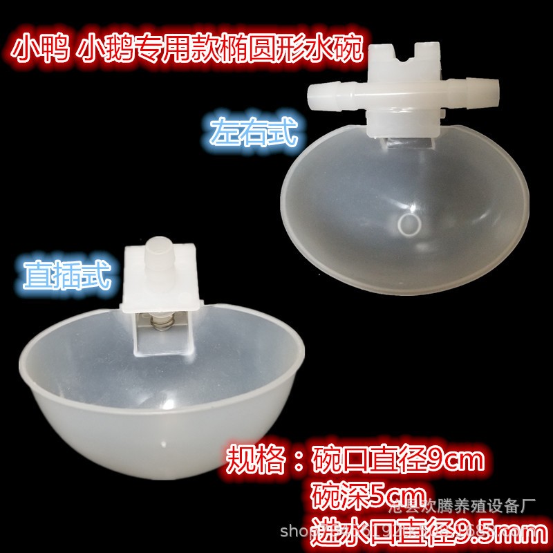 鸽子水杯 自动饮水器 饮水碗 鸽子食槽 蛋窝 沙杯 鸽子用品用具图5