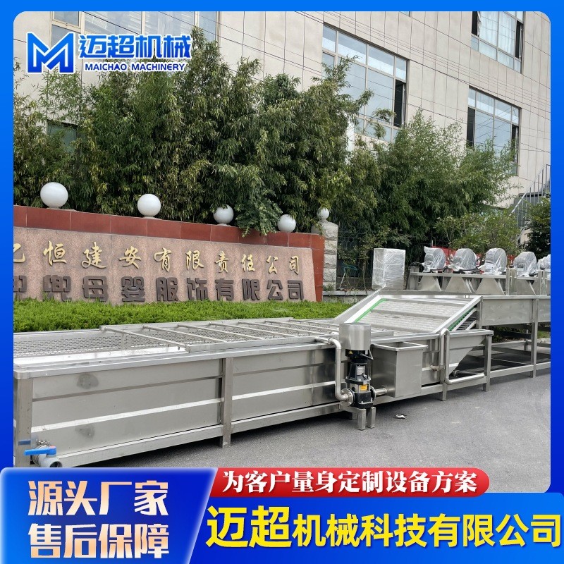 全自动喷淋式果蔬清洗机 叶类蔬菜高压气泡清洗机 清洗流水设备图3