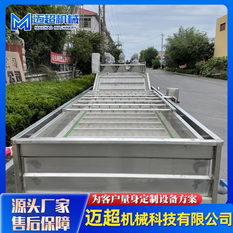 全自动喷淋式果蔬清洗机 叶类蔬菜高压气泡清洗机 清洗流水设备图2