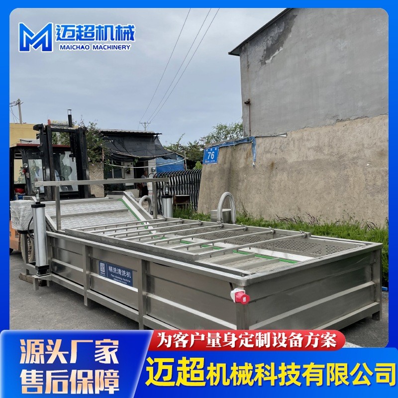 全自动喷淋式果蔬清洗机 叶类蔬菜高压气泡清洗机 清洗流水设备图5