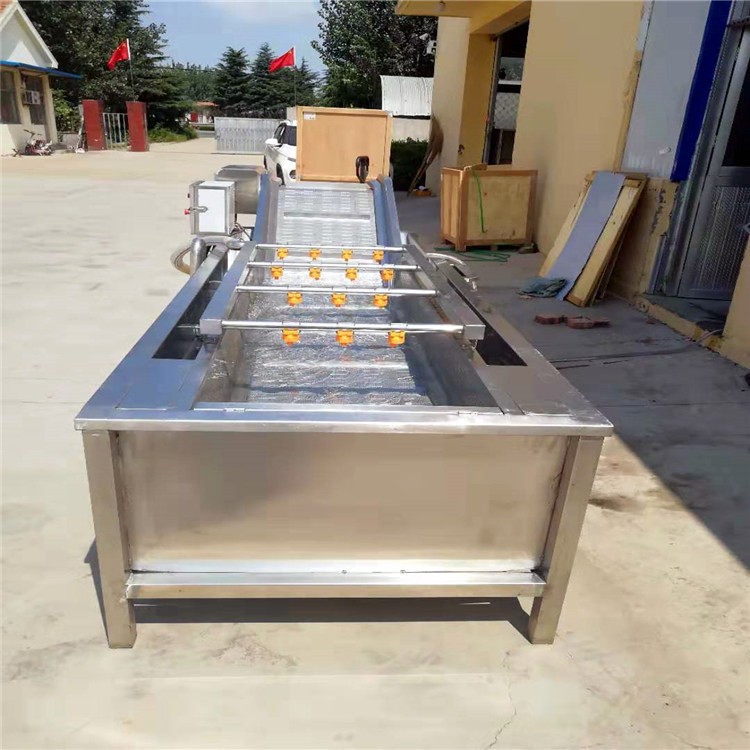 全自动果蔬清洗机 喷淋式苹果气泡清洗流水线 白菜西红柿清洗机设图2