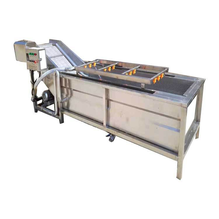 全自动果蔬清洗机 喷淋式苹果气泡清洗流水线 白菜西红柿清洗机设图5