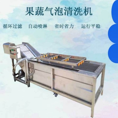 全自动果蔬清洗机 喷淋式苹果气泡清洗流水线 白菜西红柿清洗机设