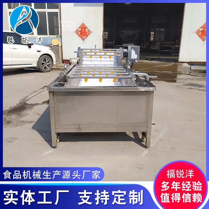 商用果蔬清洗设备 辣椒毛豆风选清洗机 多功能叶菜类气泡清洗机图4