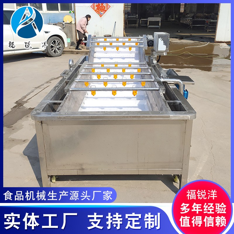 商用果蔬清洗设备 辣椒毛豆风选清洗机 多功能叶菜类气泡清洗机图2