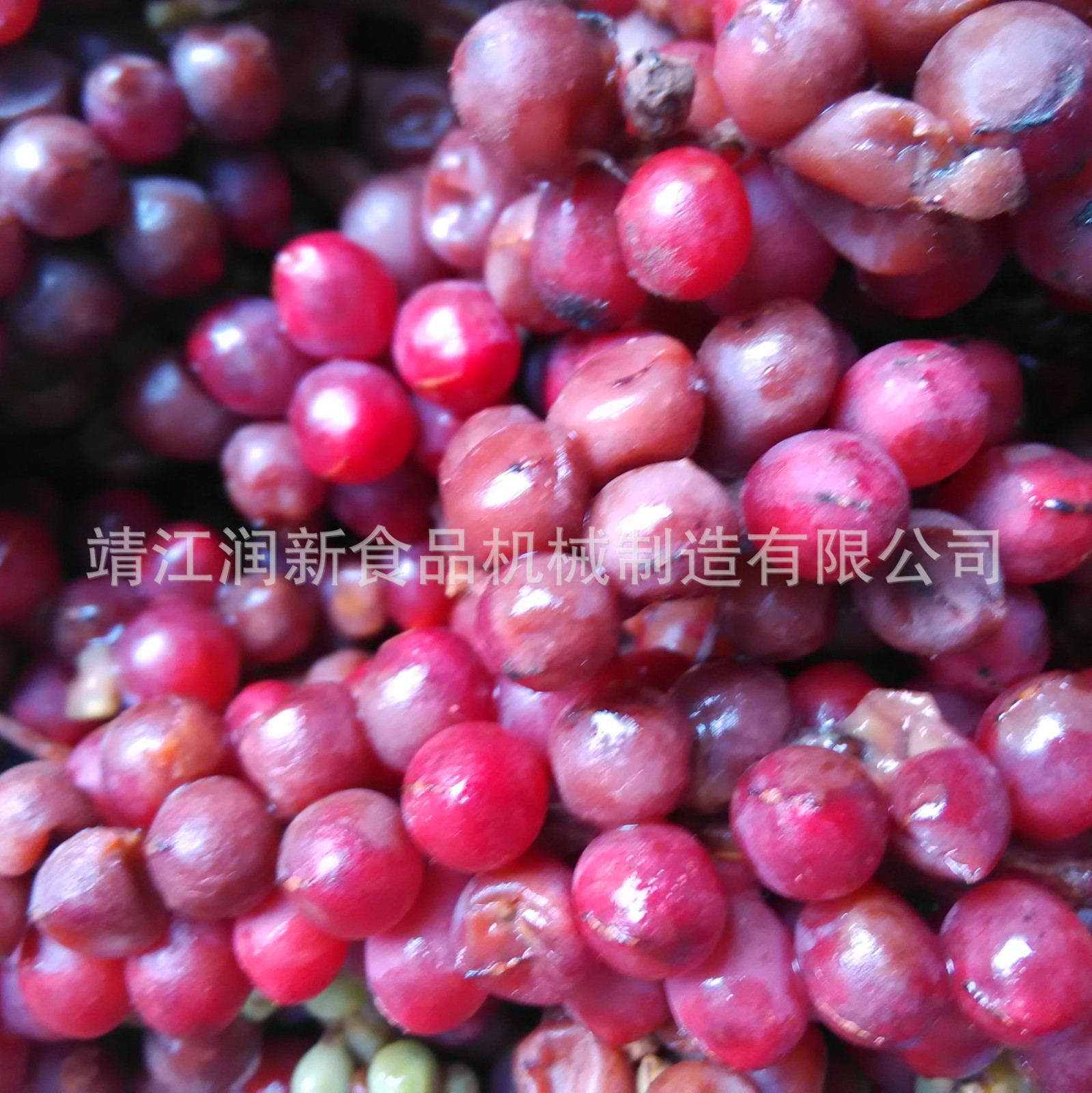 酸枣去核机脱核机 山楂沙果青梅去籽机不锈钢小型橄榄去核机图5