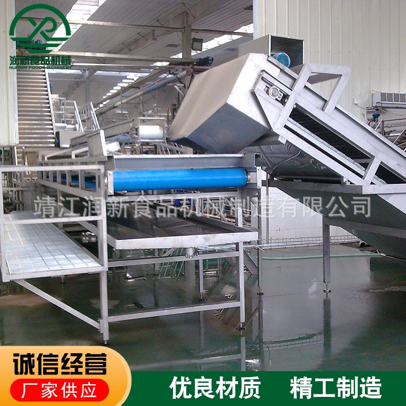 不锈钢水果分选机分级机 果蔬番茄土豆圣女果自动分拣机图2