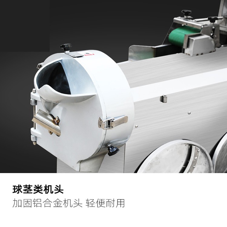 供应全自动商用切菜机 多功能双头切菜机 食堂萝卜切丝切片机厂家图5