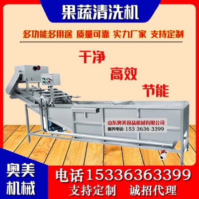 不锈钢果蔬清洗机 蔬菜气泡清洗机 水果蔬菜清洗加工设备厂家