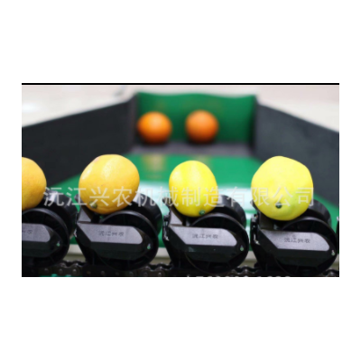 智能分选--沃柑分选机