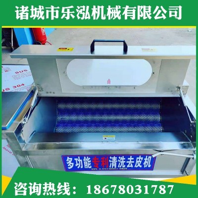 鸡腿毛辊清洗机 海鲜贝类去杂去泥清洗机 鱼类去鱼鳞毛辊清洗机