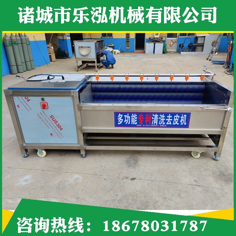 鸡腿毛辊清洗机 海鲜贝类去杂去泥清洗机 鱼类去鱼鳞毛辊清洗机图2