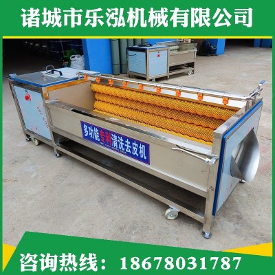 毛辊毛刷根茎去皮机定制土豆红薯果蔬去皮清洗机 商用毛辊清洗机