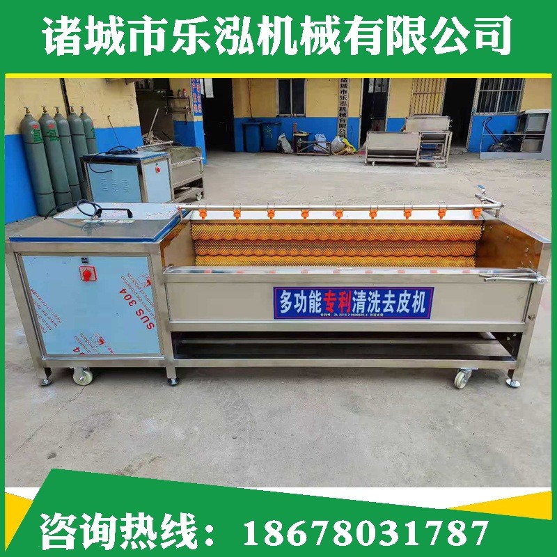 毛辊毛刷根茎去皮机定制土豆红薯果蔬去皮清洗机 商用毛辊清洗机图2