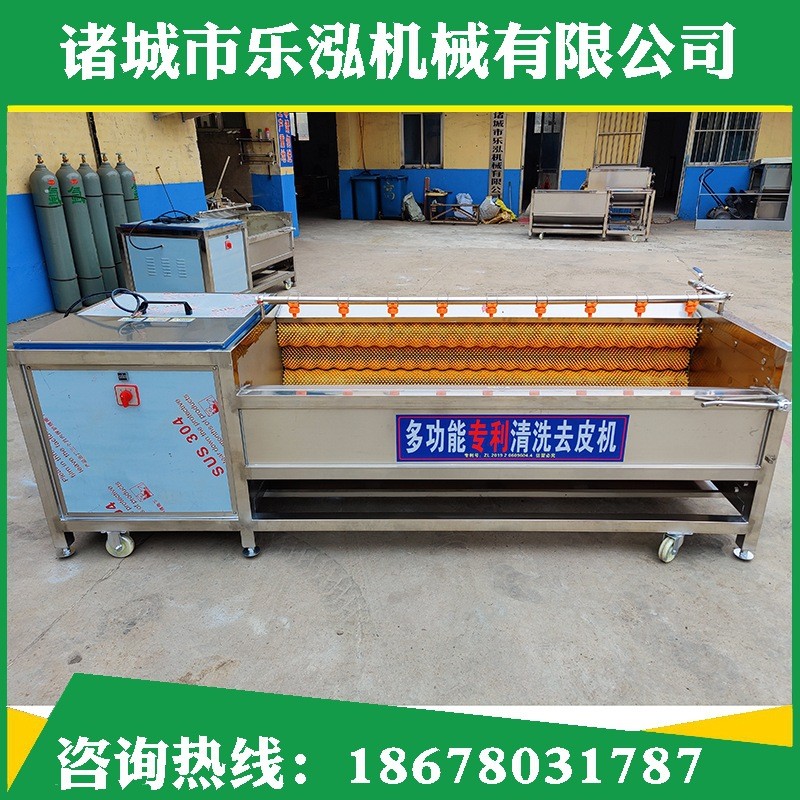 毛辊毛刷根茎去皮机定制土豆红薯果蔬去皮清洗机 商用毛辊清洗机图4