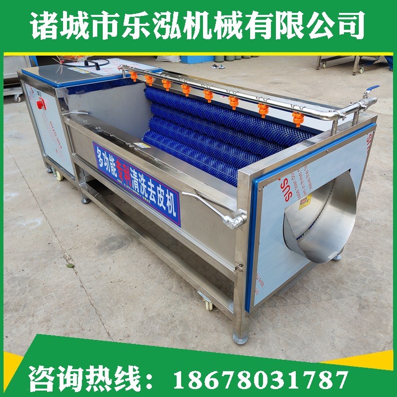 厂家红薯毛辊去皮清洗机胡萝卜全自动去皮清洗设备土豆去皮清洗机图2