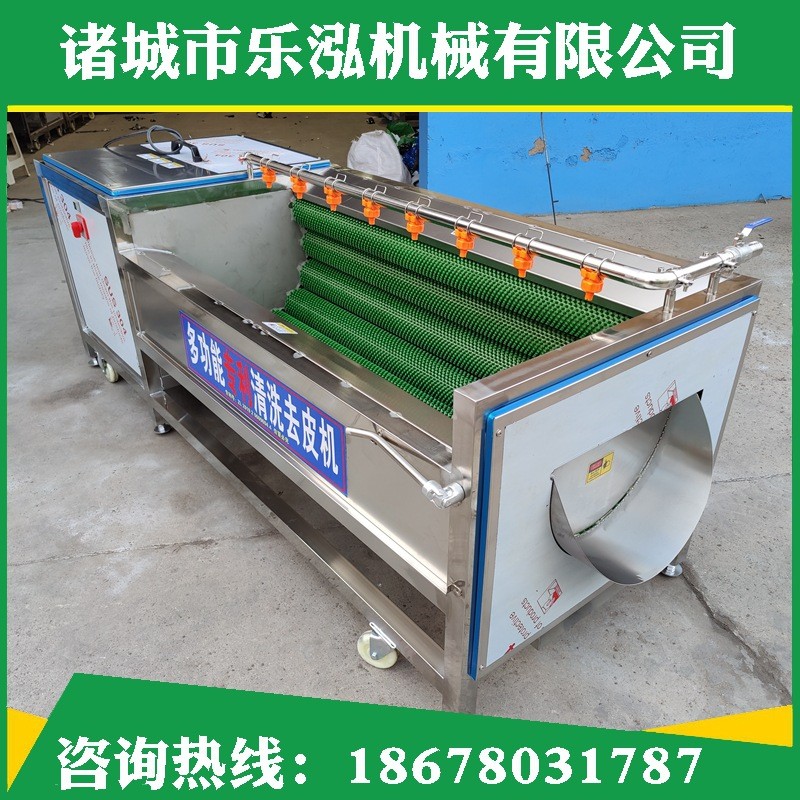 厂家红薯毛辊去皮清洗机胡萝卜全自动去皮清洗设备土豆去皮清洗机图4