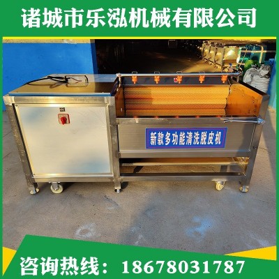 厂家红薯毛辊去皮清洗机胡萝卜全自动去皮清洗设备土豆去皮清洗机