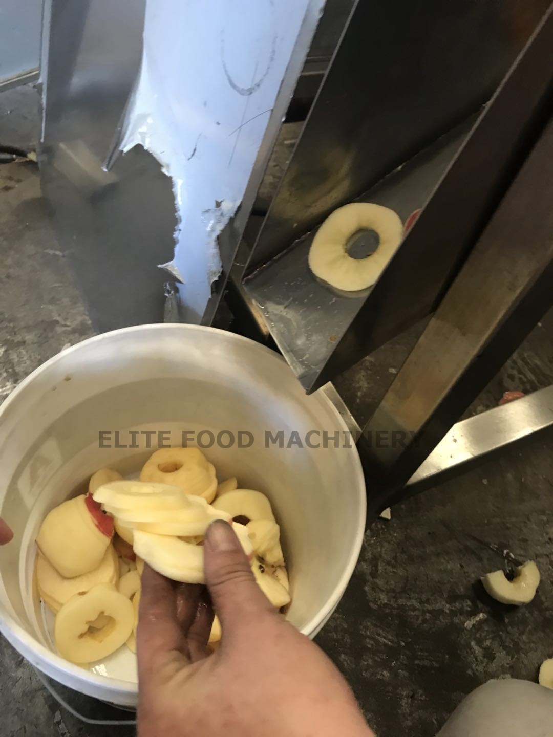 全自动削皮捅核切瓣机一体机 苹果削皮去核切片机 果干果脯生产线图5