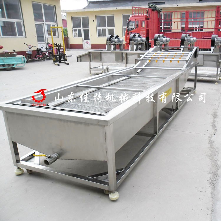 源头厂家果蔬清洗机设备 无花果清洗机 全自动水果气泡喷淋洗菜机图1
