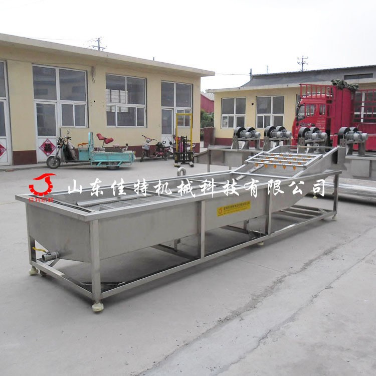 源头厂家果蔬清洗机设备 无花果清洗机 全自动水果气泡喷淋洗菜机图2