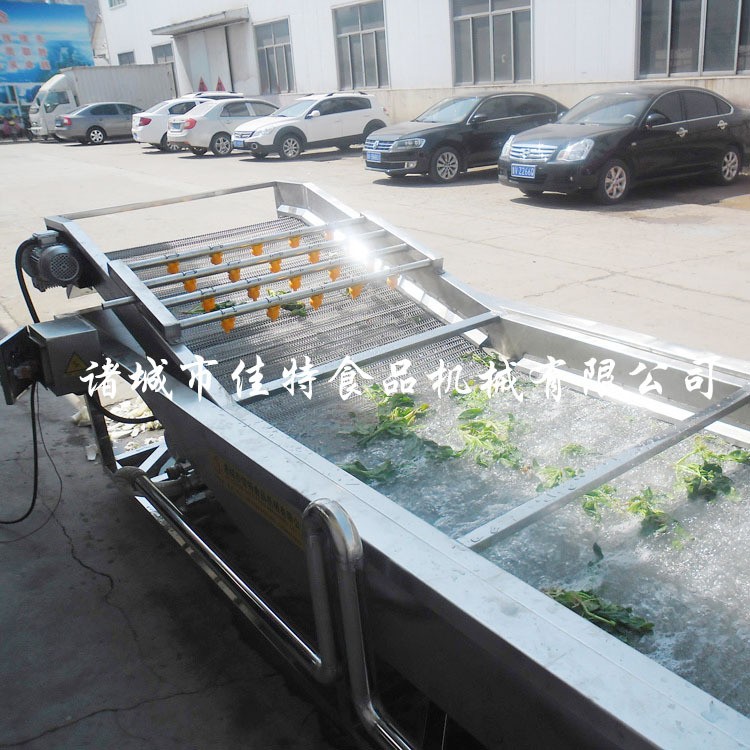 源头厂家果蔬清洗机设备 无花果清洗机 全自动水果气泡喷淋洗菜机图3