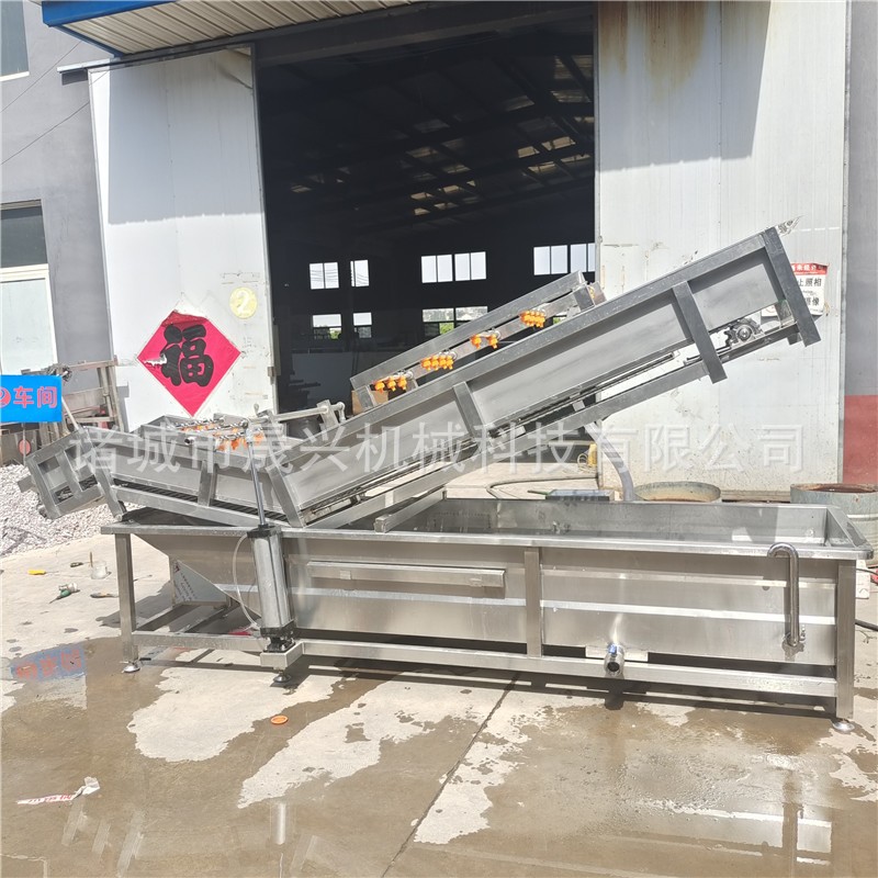 定制全自动气泡清洗机 白菜莴笋气泡清洗设备 高压喷淋大姜洗菜机图2