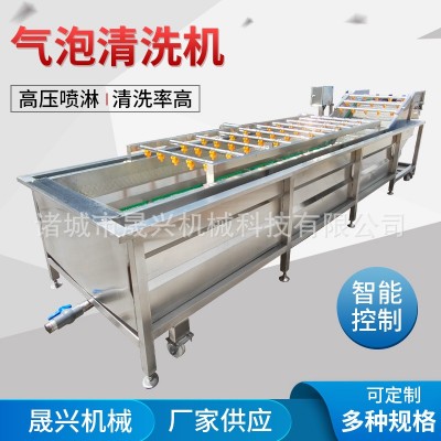 定制全自动气泡清洗机 白菜莴笋气泡清洗设备 高压喷淋大姜洗菜机