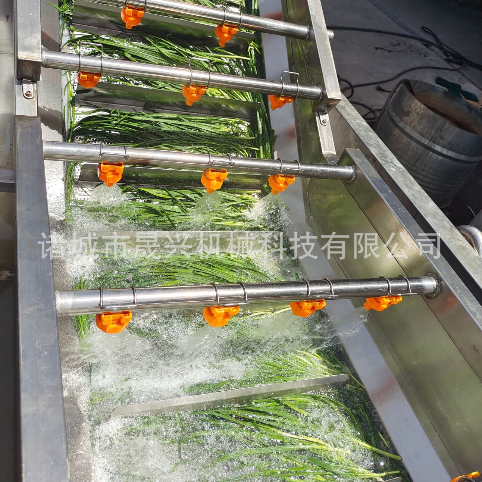 定制全自动气泡清洗机 白菜莴笋气泡清洗设备 高压喷淋大姜洗菜机图4