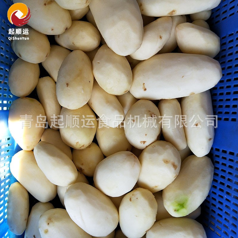 现货毛刷清洗机 多功能螺旋大根去皮机 生姜白萝卜清洗去皮设备图3