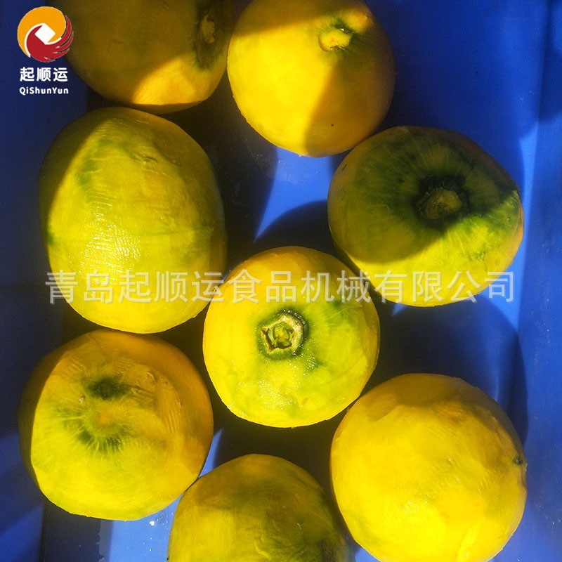 现货毛刷清洗机 多功能螺旋大根去皮机 生姜白萝卜清洗去皮设备图2