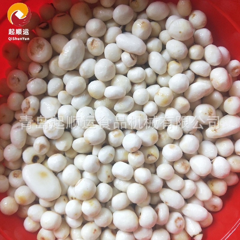 现货毛刷清洗机 多功能螺旋大根去皮机 生姜白萝卜清洗去皮设备图5