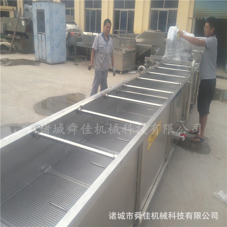 草莓蓝莓鼓泡清洗设备 栗子李子提亮高效清洗机 诸城厂家图2