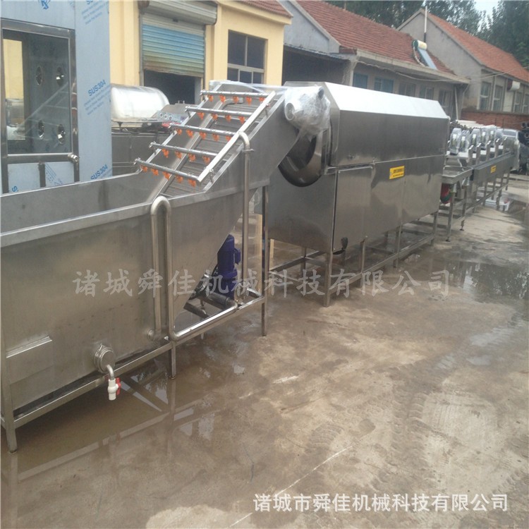 草莓蓝莓鼓泡清洗设备 栗子李子提亮高效清洗机 诸城厂家图3