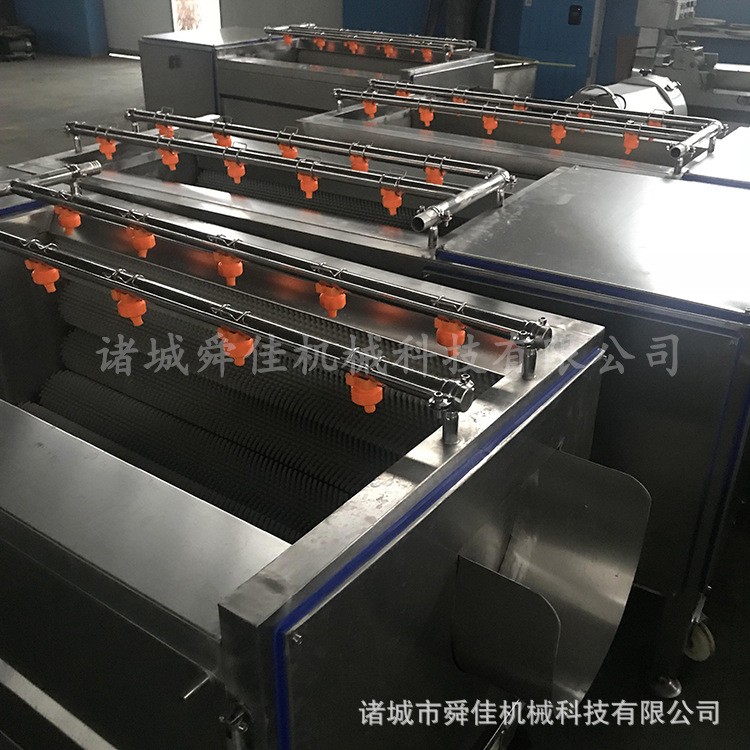 牛蒡葛根毛刷清洗机 胡萝卜去杂毛辊清洗机 地黄去皮清洗设备图4