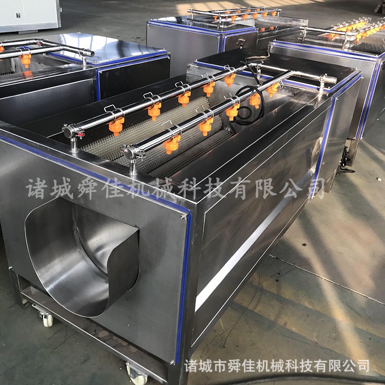 牛蒡葛根毛刷清洗机 胡萝卜去杂毛辊清洗机 地黄去皮清洗设备图2
