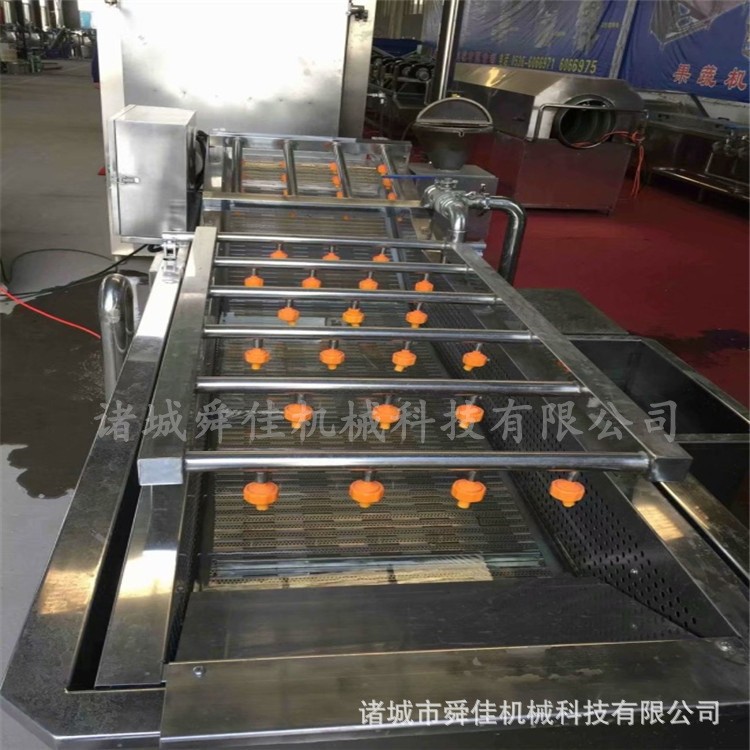 胡萝卜气泡清洗机 果蔬高压喷淋式气泡清洗设备 山药去泥洗菜机图5