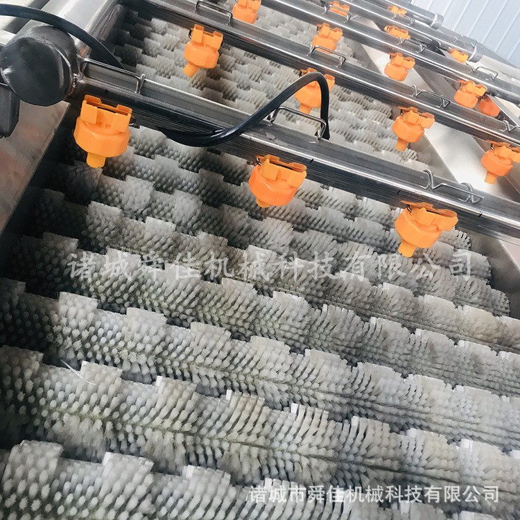 苦菜清洗全套设备 蔬菜根茎类毛辊清洗机 甘蔗高压喷淋清洗机图3